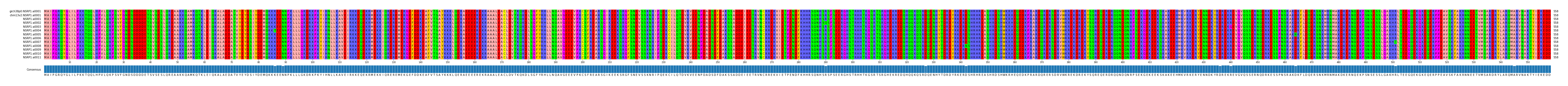 Multiple Alignments (by translate haplotype frequency)