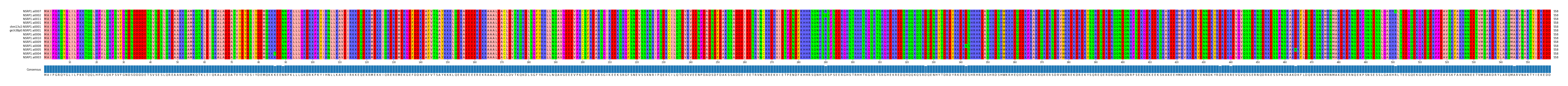 Multiple Alignments (by translate haplotype similarity)