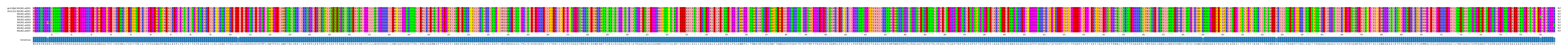 Multiple Alignments (by translate haplotype frequency)
