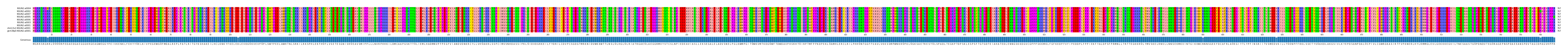 Multiple Alignments (by translate haplotype similarity)