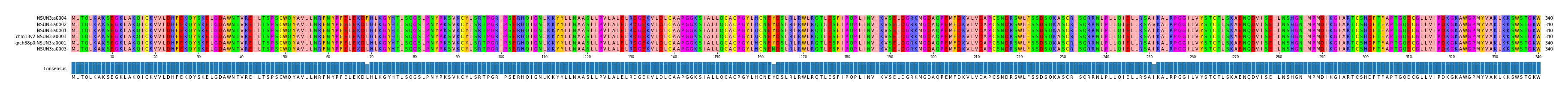 Multiple Alignments (by translate haplotype similarity)