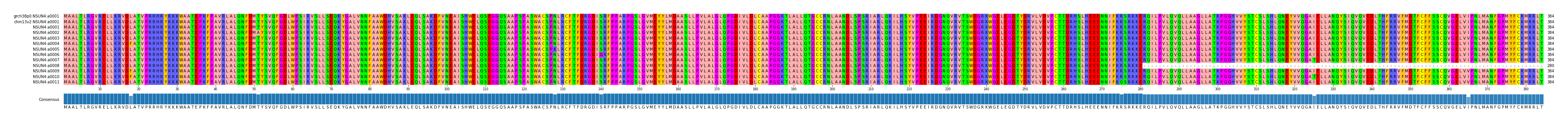 Multiple Alignments (by translate haplotype frequency)
