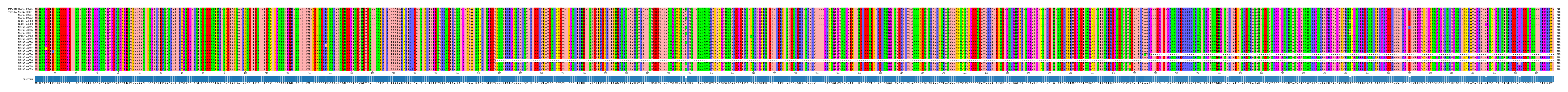 Multiple Alignments (by translate haplotype frequency)
