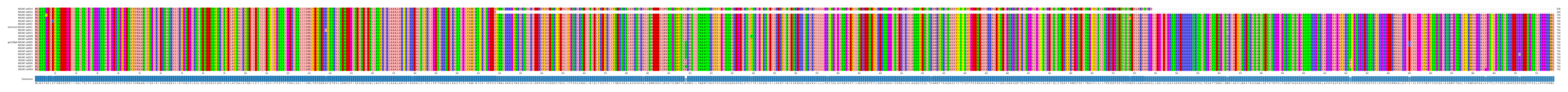 Multiple Alignments (by translate haplotype similarity)