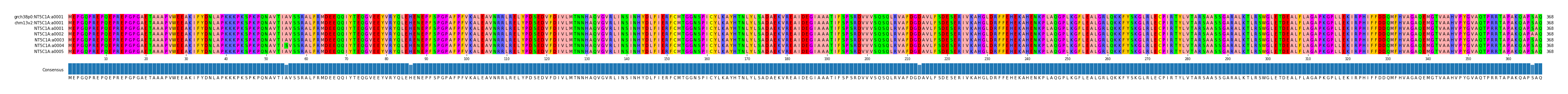 Multiple Alignments (by translate haplotype frequency)
