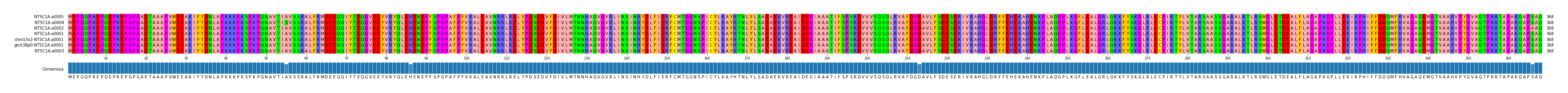 Multiple Alignments (by translate haplotype similarity)