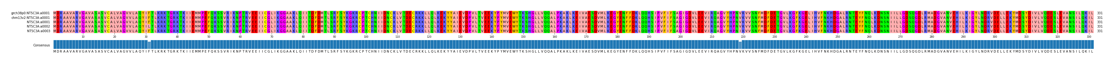Multiple Alignments (by translate haplotype frequency)