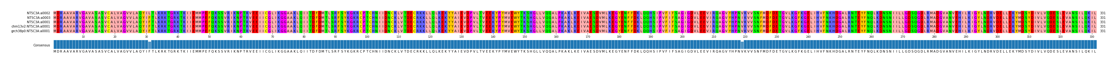 Multiple Alignments (by translate haplotype similarity)