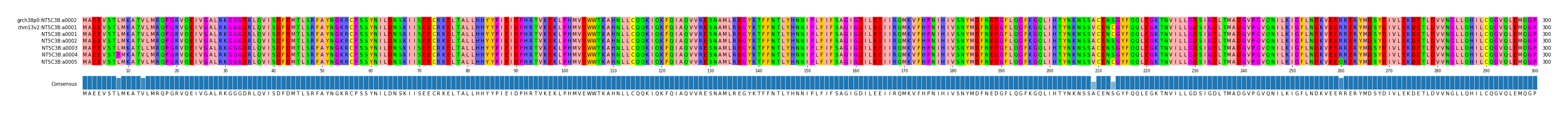 Multiple Alignments (by translate haplotype frequency)