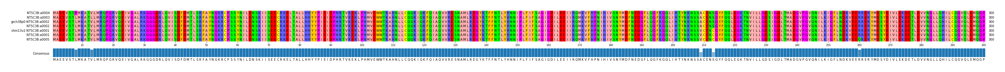Multiple Alignments (by translate haplotype similarity)