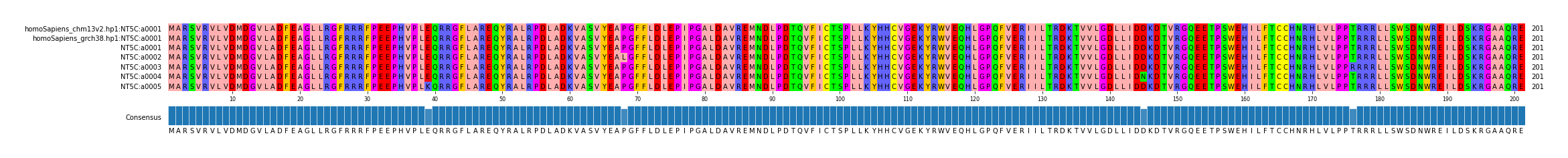 Multiple Alignments (by translate haplotype frequency)