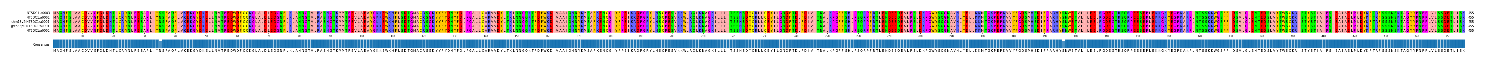 Multiple Alignments (by translate haplotype similarity)