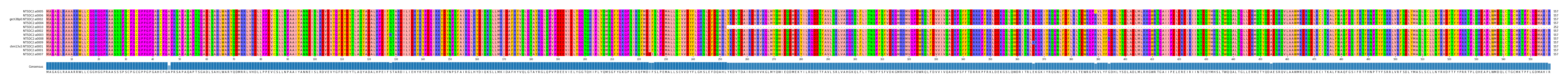 Multiple Alignments (by translate haplotype similarity)