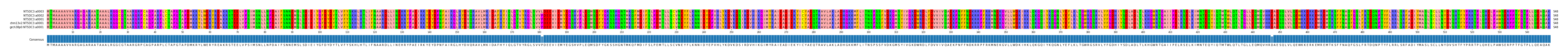 Multiple Alignments (by translate haplotype similarity)