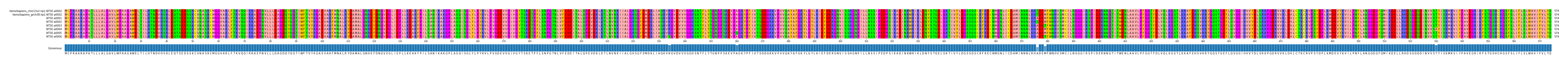 Multiple Alignments (by translate haplotype frequency)