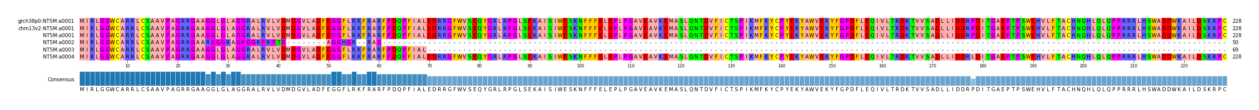 Multiple Alignments (by translate haplotype frequency)