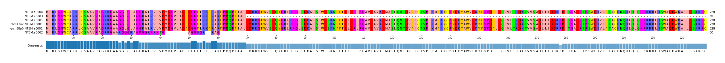 Multiple Alignments (by translate haplotype similarity)