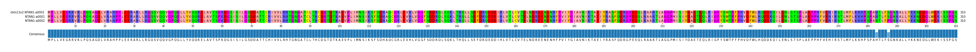 Multiple Alignments (by translate haplotype similarity)