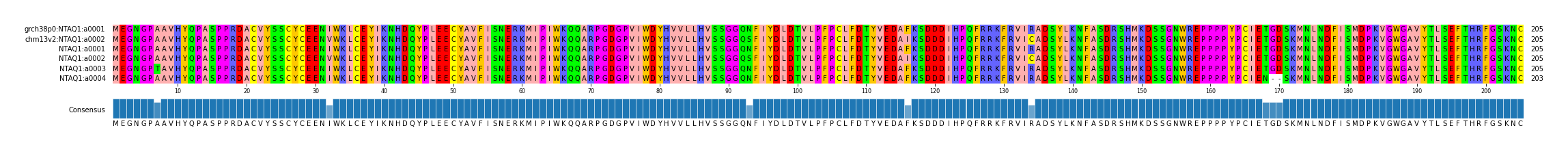Multiple Alignments (by translate haplotype frequency)