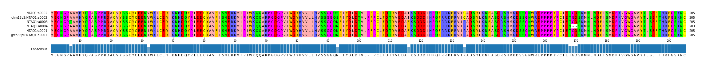 Multiple Alignments (by translate haplotype similarity)