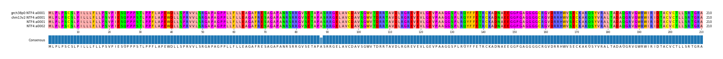 Multiple Alignments (by translate haplotype similarity)