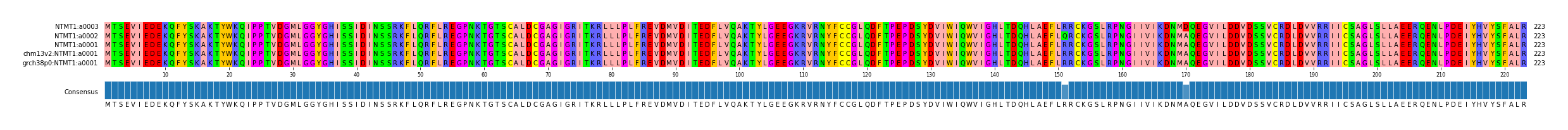 Multiple Alignments (by translate haplotype similarity)