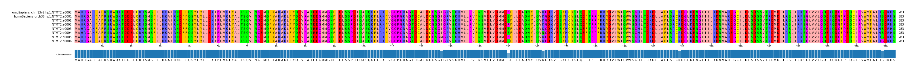 Multiple Alignments (by translate haplotype frequency)