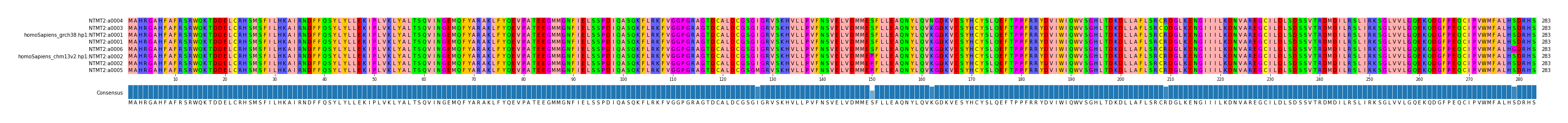 Multiple Alignments (by translate haplotype similarity)