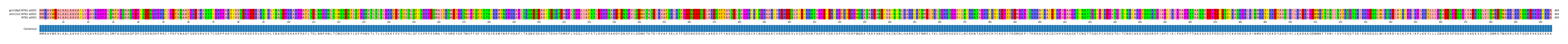 Multiple Alignments (by translate haplotype similarity)