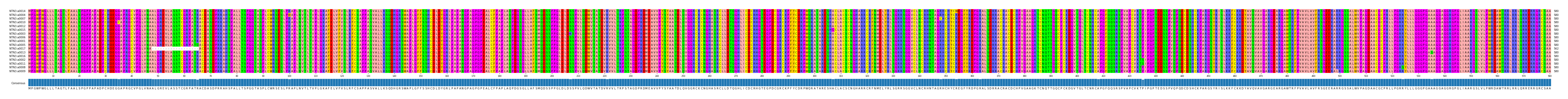 Multiple Alignments (by translate haplotype similarity)