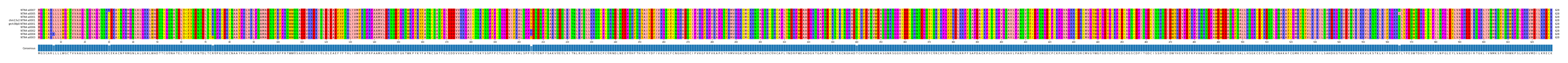 Multiple Alignments (by translate haplotype similarity)