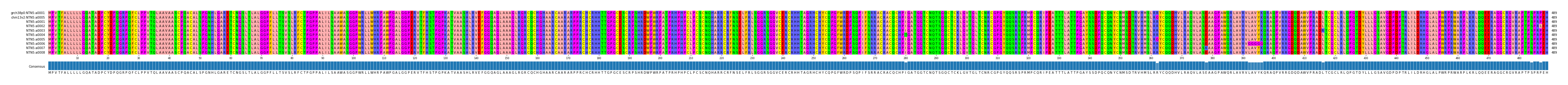 Multiple Alignments (by translate haplotype frequency)