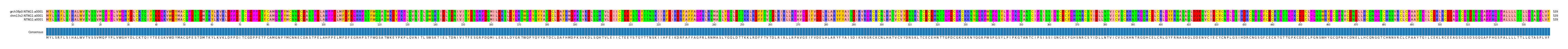 Multiple Alignments (by translate haplotype frequency)