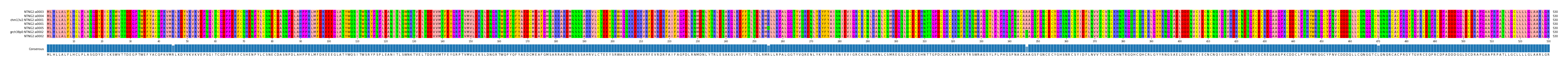 Multiple Alignments (by translate haplotype similarity)