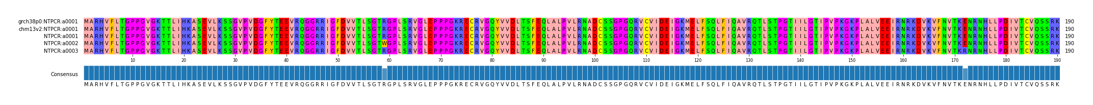 Multiple Alignments (by translate haplotype frequency)