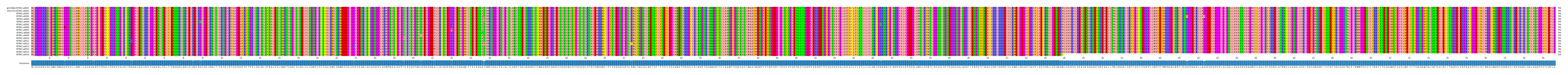 Multiple Alignments (by translate haplotype frequency)