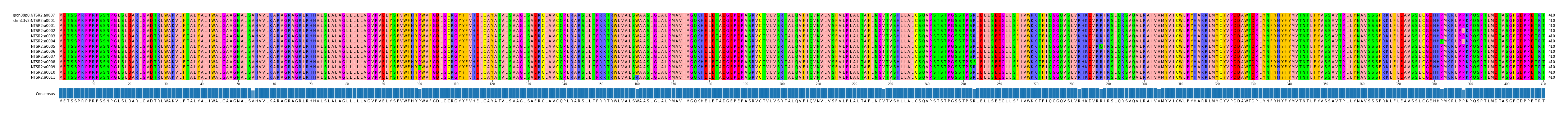 Multiple Alignments (by translate haplotype frequency)
