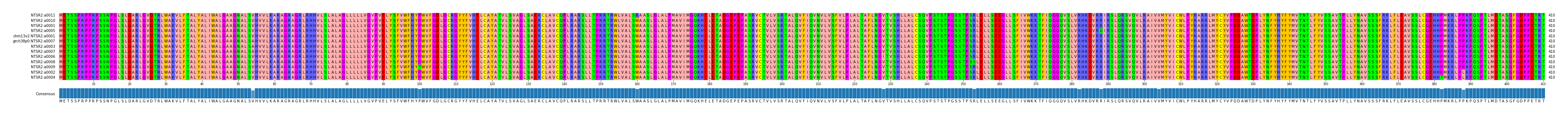 Multiple Alignments (by translate haplotype similarity)