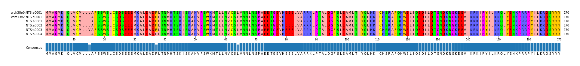 Multiple Alignments (by translate haplotype frequency)