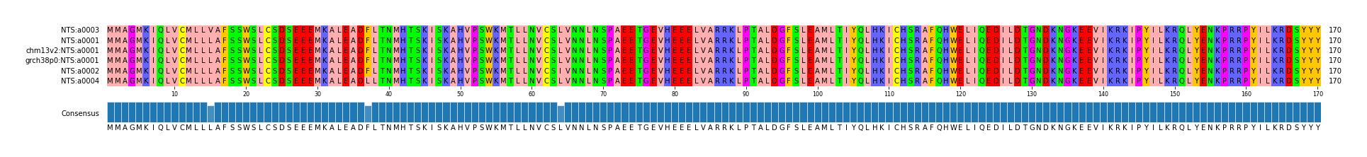 Multiple Alignments (by translate haplotype similarity)