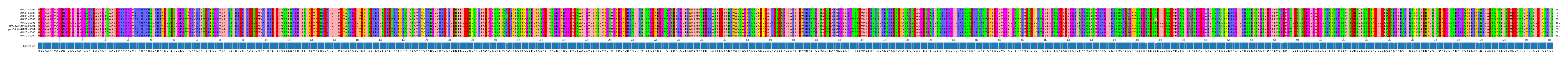 Multiple Alignments (by translate haplotype similarity)