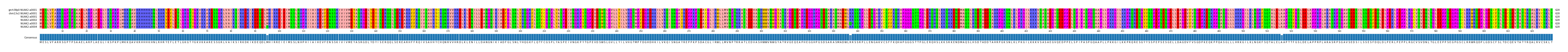 Multiple Alignments (by translate haplotype frequency)