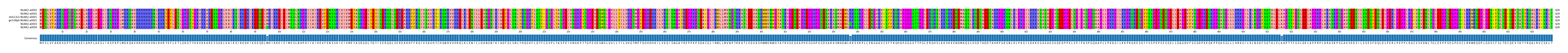 Multiple Alignments (by translate haplotype similarity)