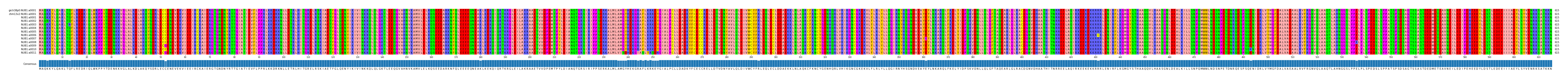 Multiple Alignments (by translate haplotype frequency)