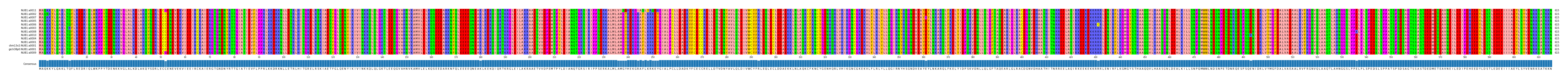 Multiple Alignments (by translate haplotype similarity)