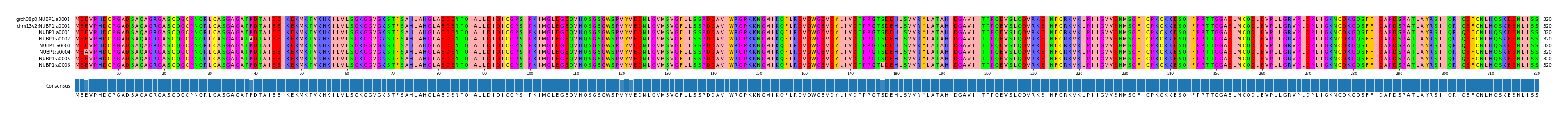 Multiple Alignments (by translate haplotype frequency)