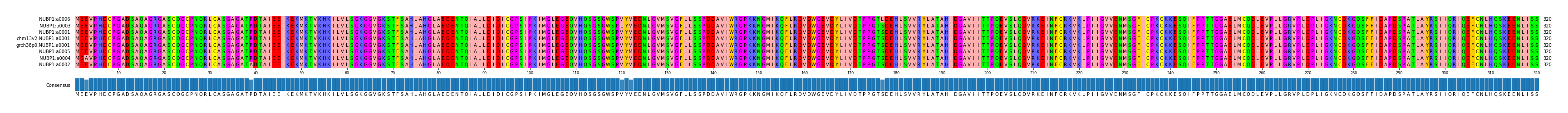 Multiple Alignments (by translate haplotype similarity)