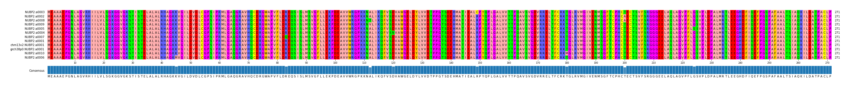 Multiple Alignments (by translate haplotype similarity)