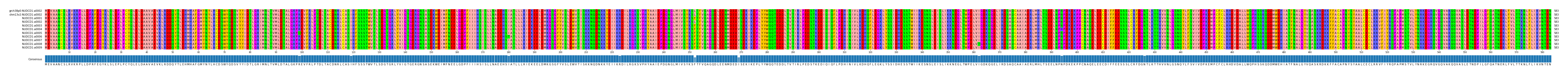 Multiple Alignments (by translate haplotype frequency)