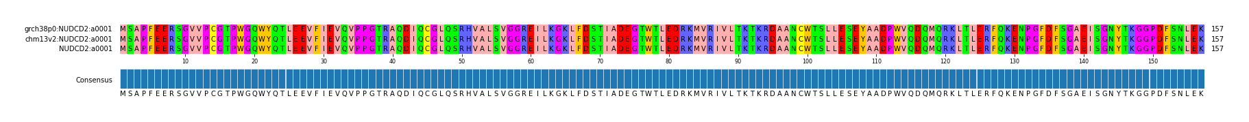 Multiple Alignments (by translate haplotype similarity)